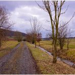 Weg zum See (camino al lago)