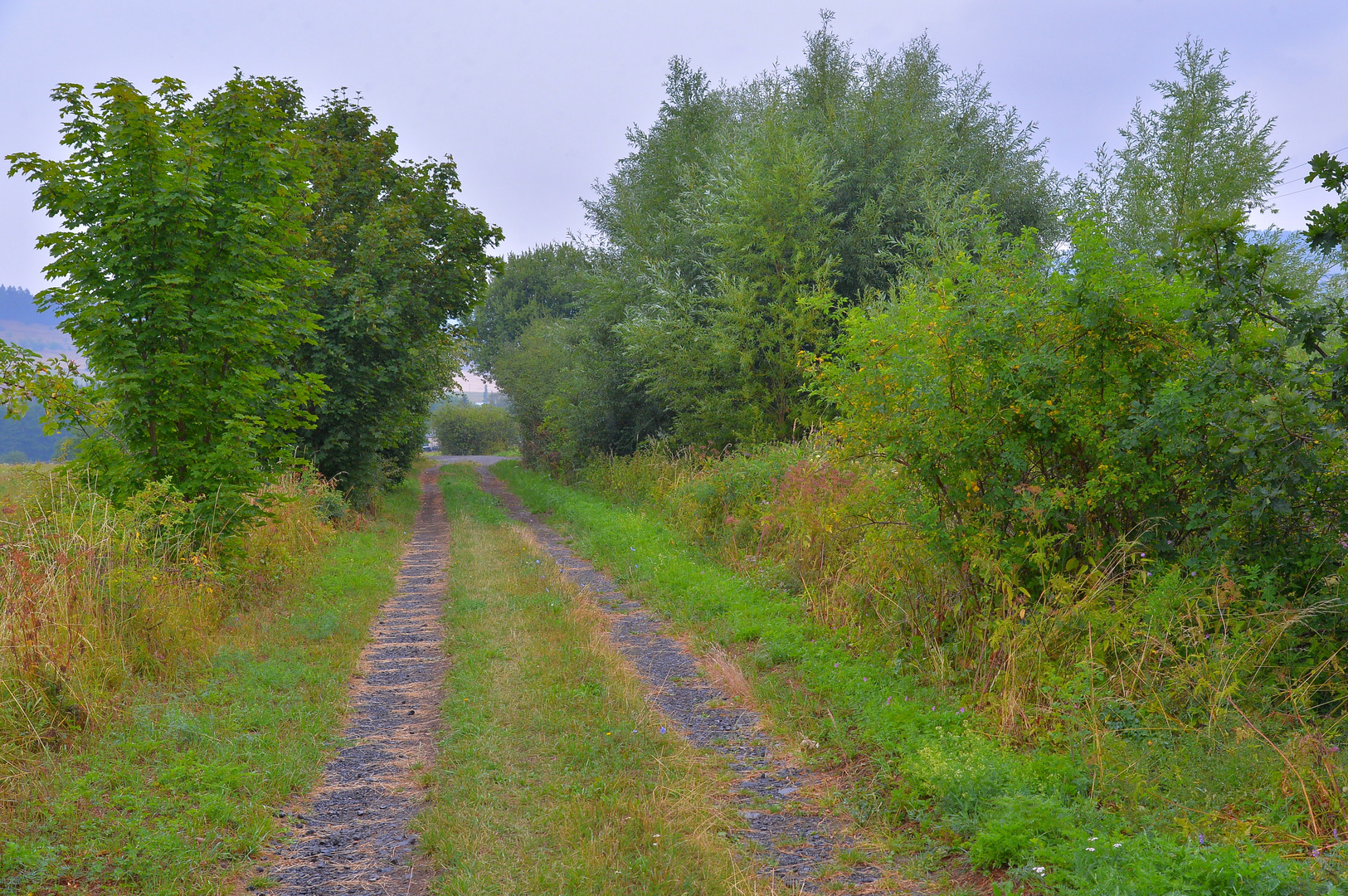 Weg zum See (camino al lago)