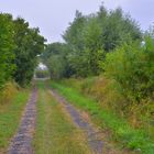 Weg zum See (camino al lago)