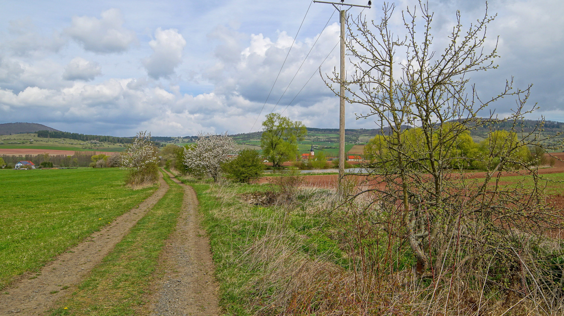 Weg zum See (camino al lago)