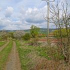 Weg zum See (camino al lago)