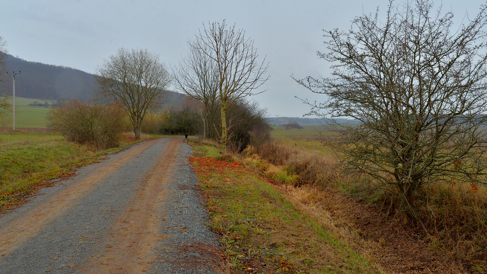 Weg zum See (camino al lago)