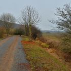 Weg zum See (camino al lago)