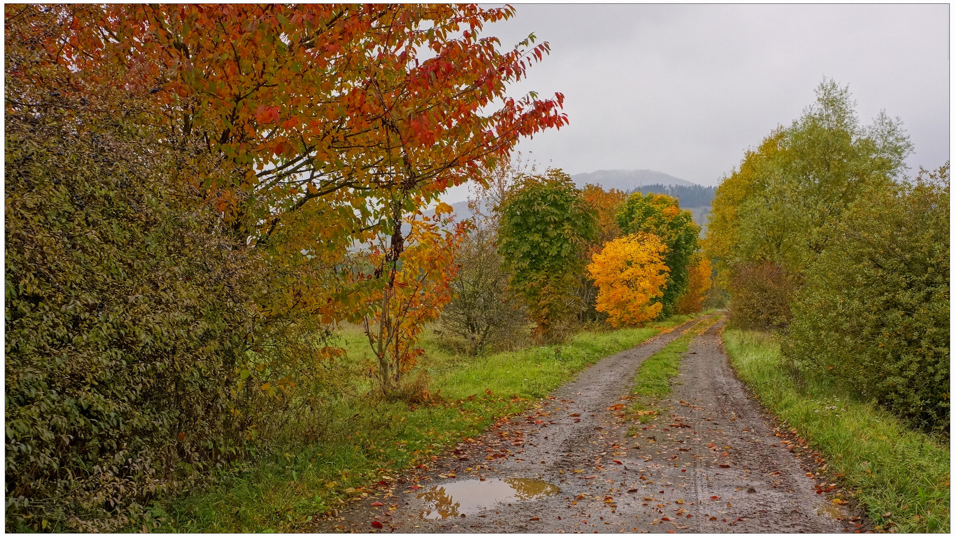 Weg zum See (camino al lago)