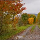 Weg zum See (camino al lago)