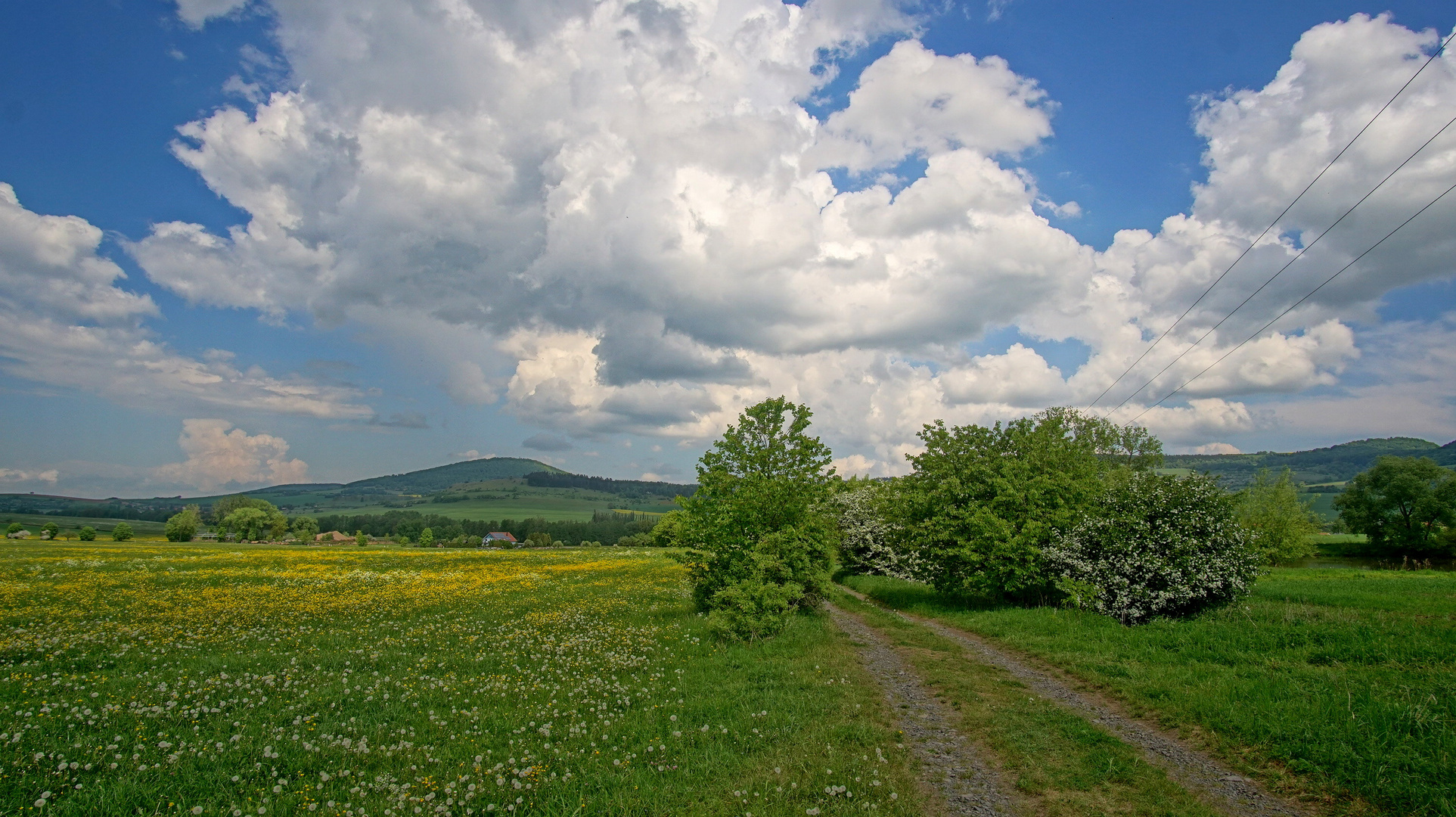 Weg zum See (camino al lago)