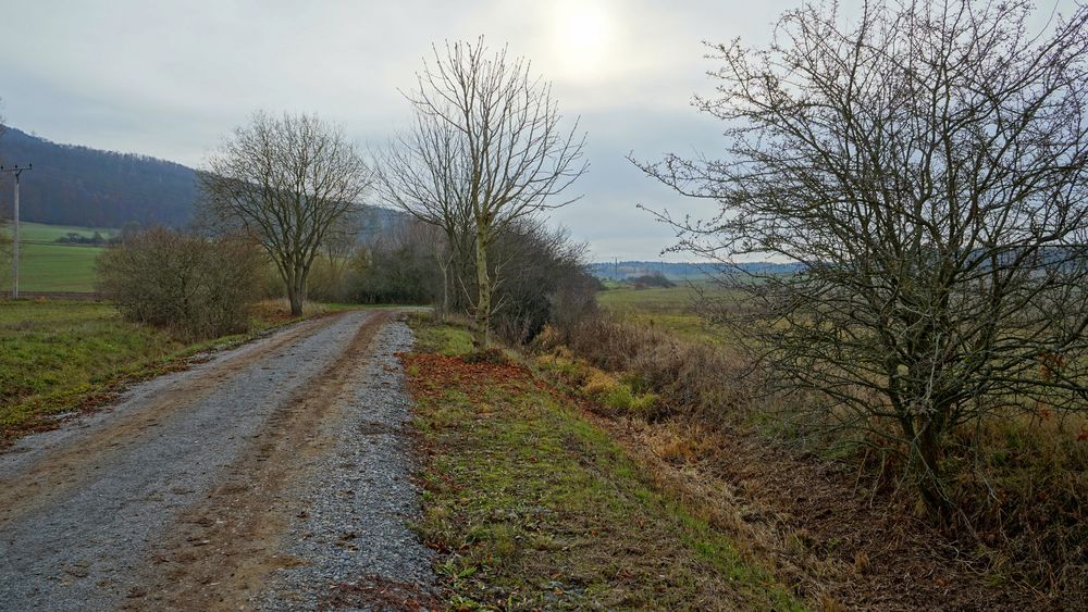 Weg zum See (camino al lago)