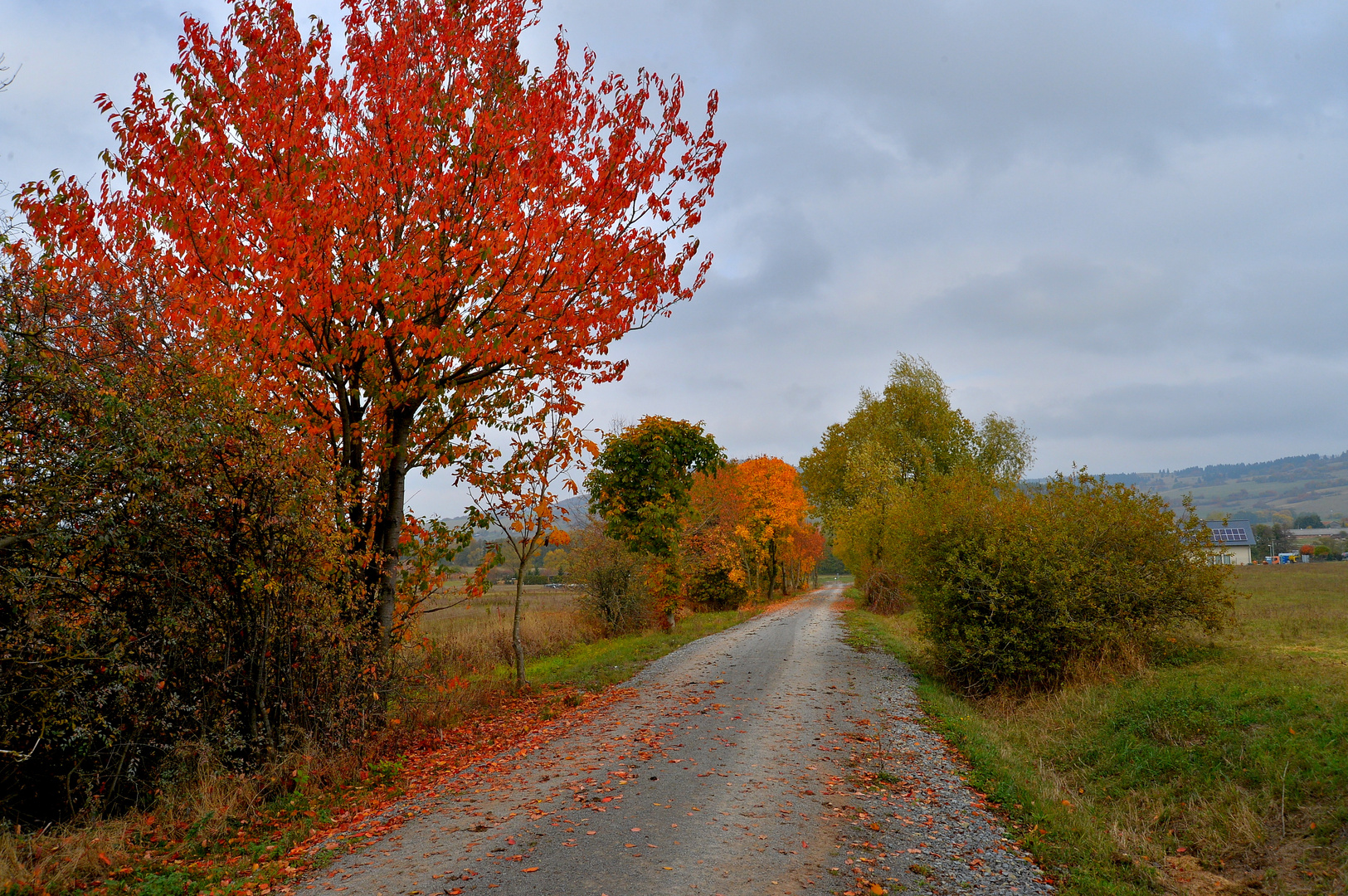 Weg zum See (camino al lago)