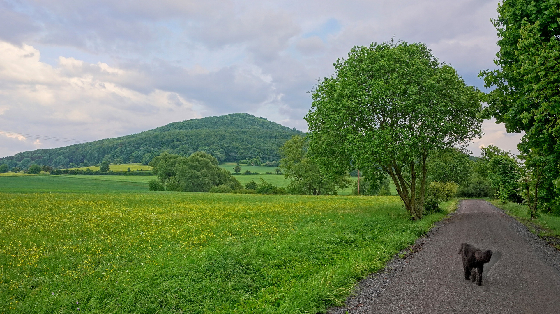 Weg zum See (camino al lago)