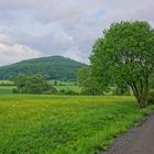 Weg zum See (camino al lago)