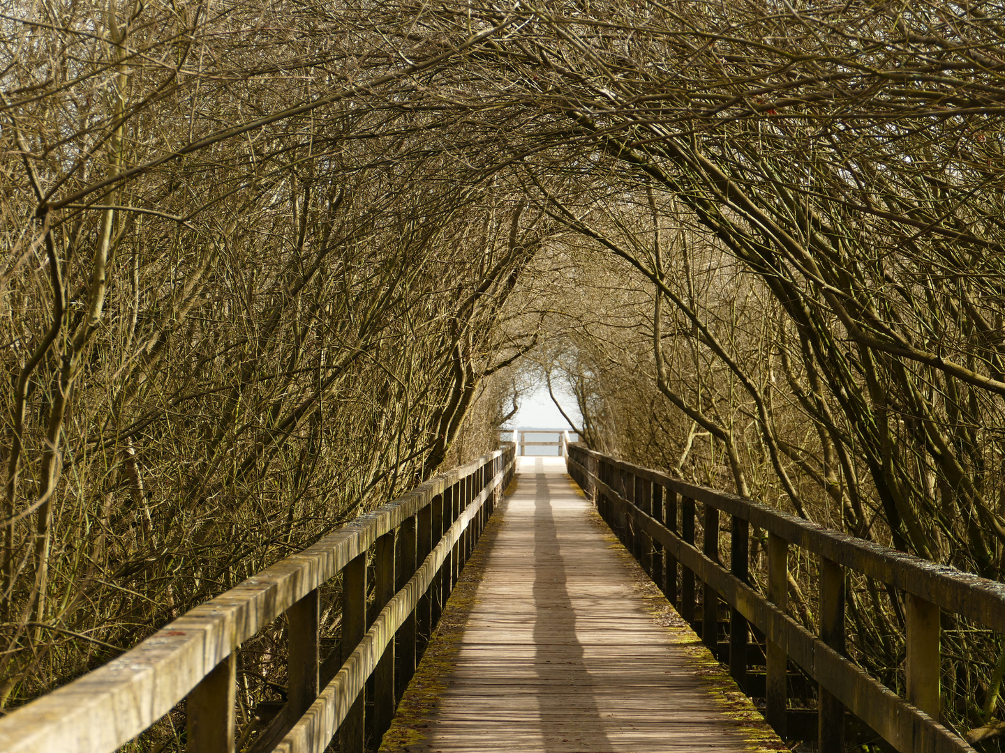 Weg zum Steinhuder Meer 