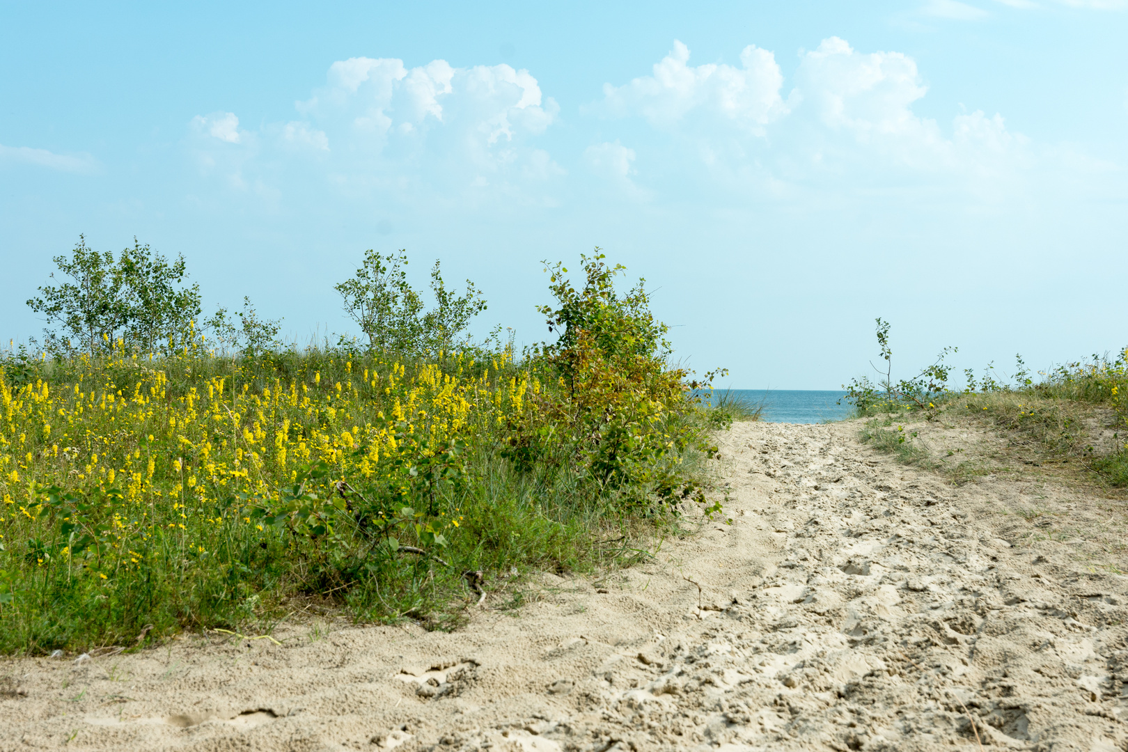 Weg zum Strand