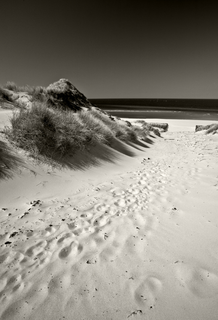 Weg zum Strand