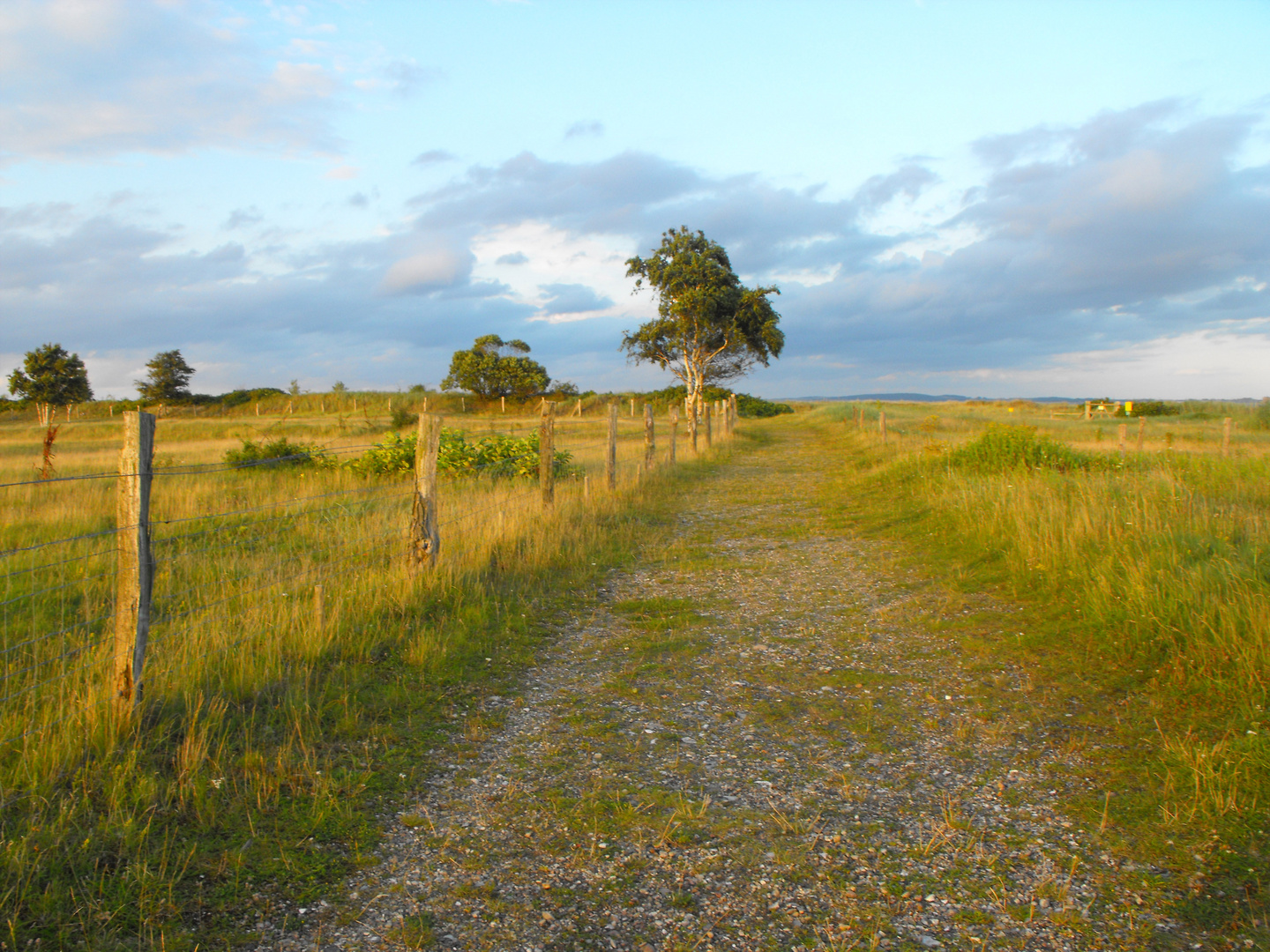 Weg zum Strand bei Hohwacht