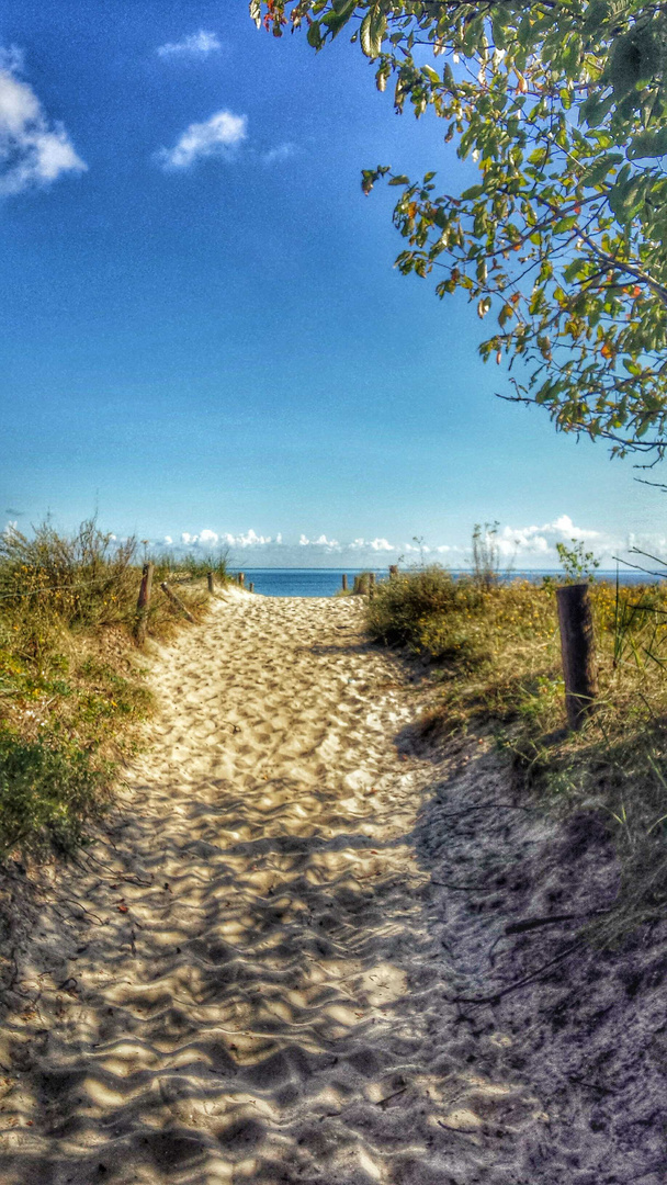 Weg zum Strand Ückeritz