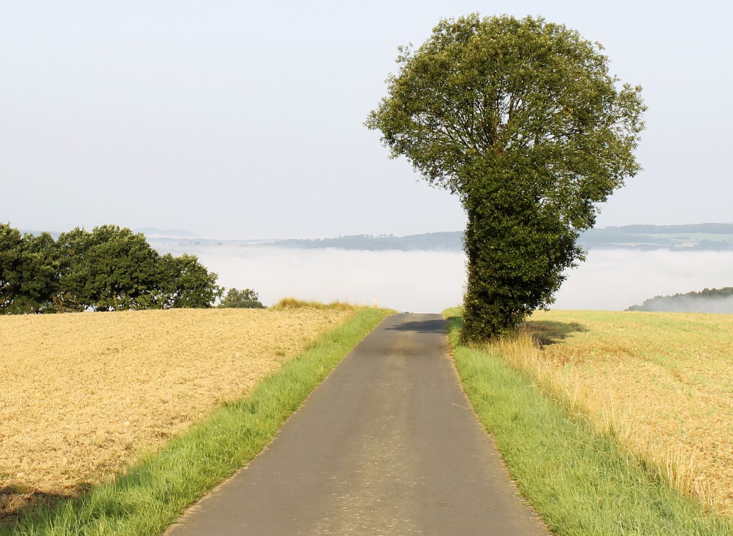 Weg zum Tal des Nebels