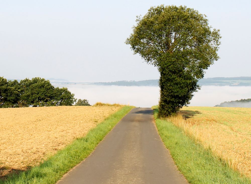 Weg zum Tal des Nebels