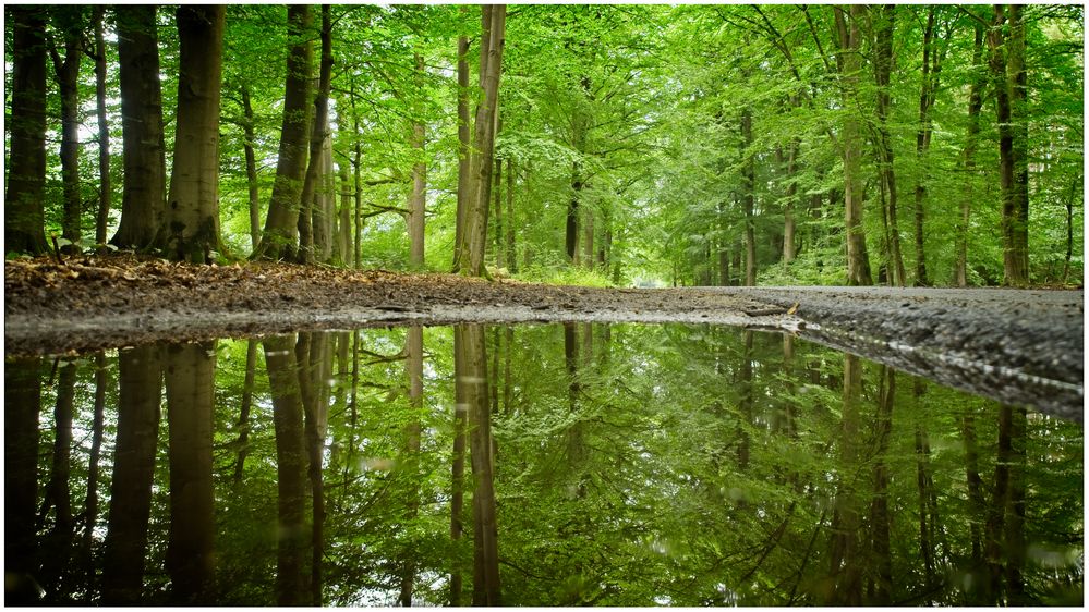 Weg zum Totengrund    -Dienstag ist Spiegeltag-