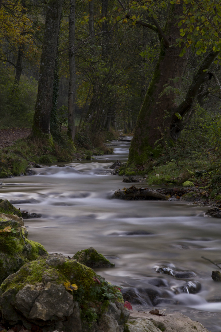 Weg zum Uracher Wasserfall_1