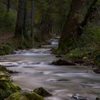 Weg zum Uracher Wasserfall_1