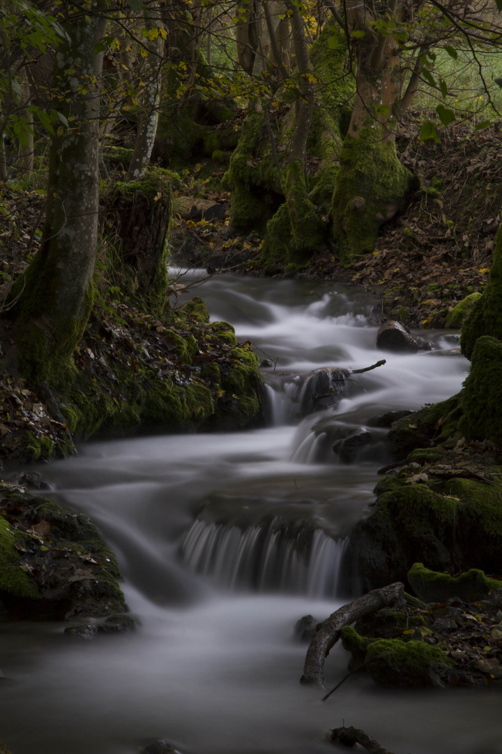 Weg zum Uracher Wasserfall_2