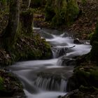 Weg zum Uracher Wasserfall_2