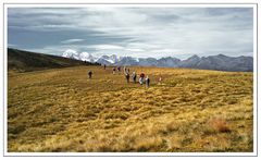 Weg zum Weisshorn