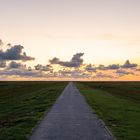 Weg zum Westerhever