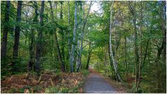Weg zum Weststrand