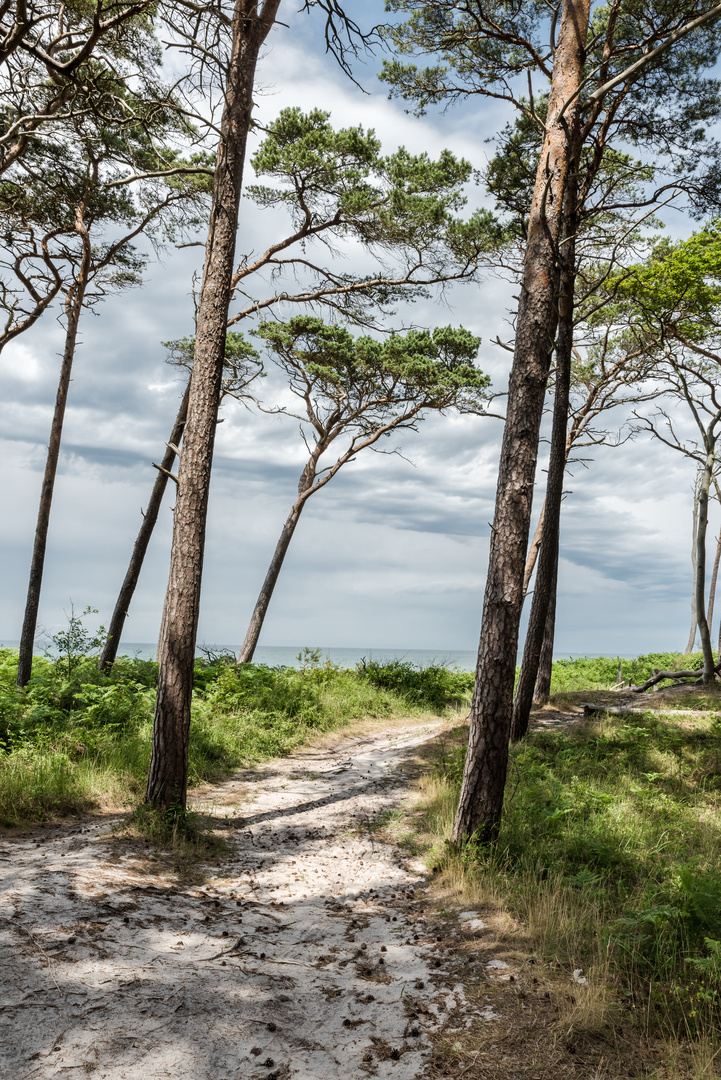 Weg zum Weststrand