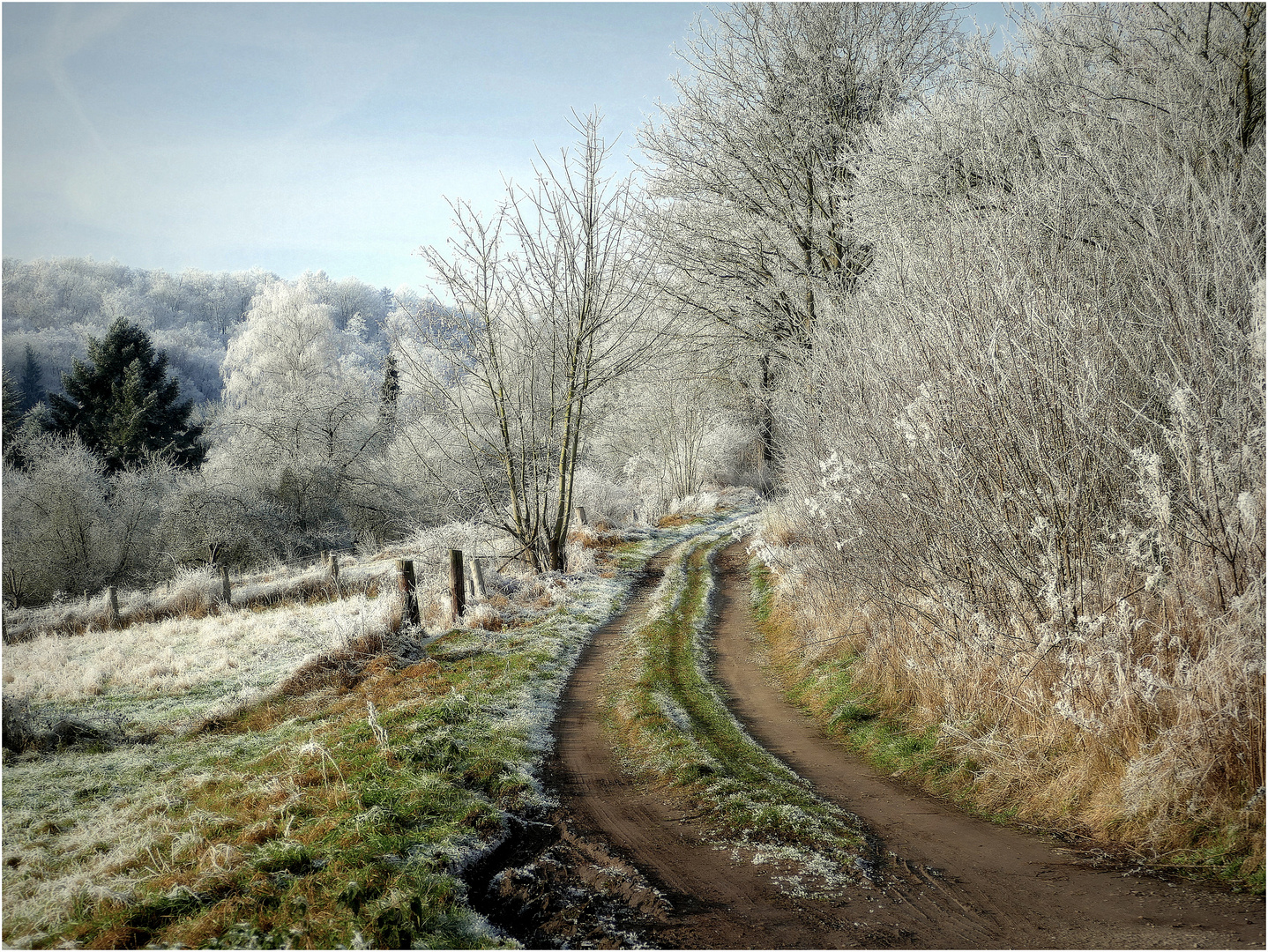 Weg zum Winterwald