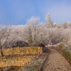 Weg zum Zauberwald