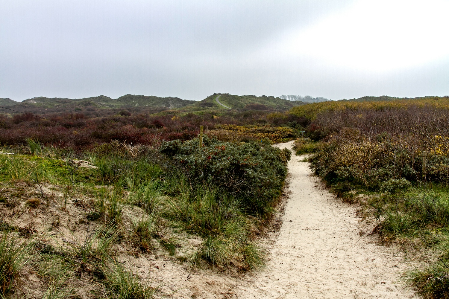 Weg zur Aussichtsdüne