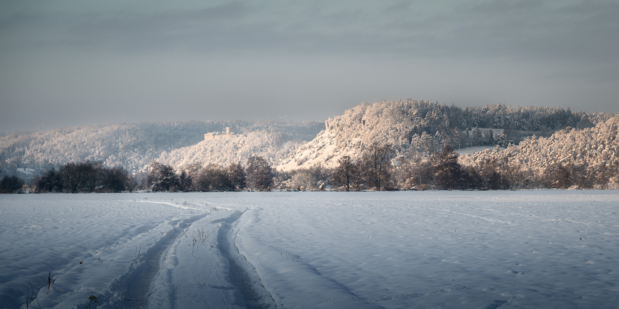 Weg zur Burg