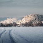 Weg zur Burg