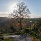 Weg zur Burg Blankenberg bei Hennef