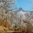 Weg zur Burg Hohenzolern bei Rauhreif