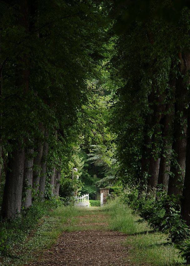 Weg zur Erleuchtung