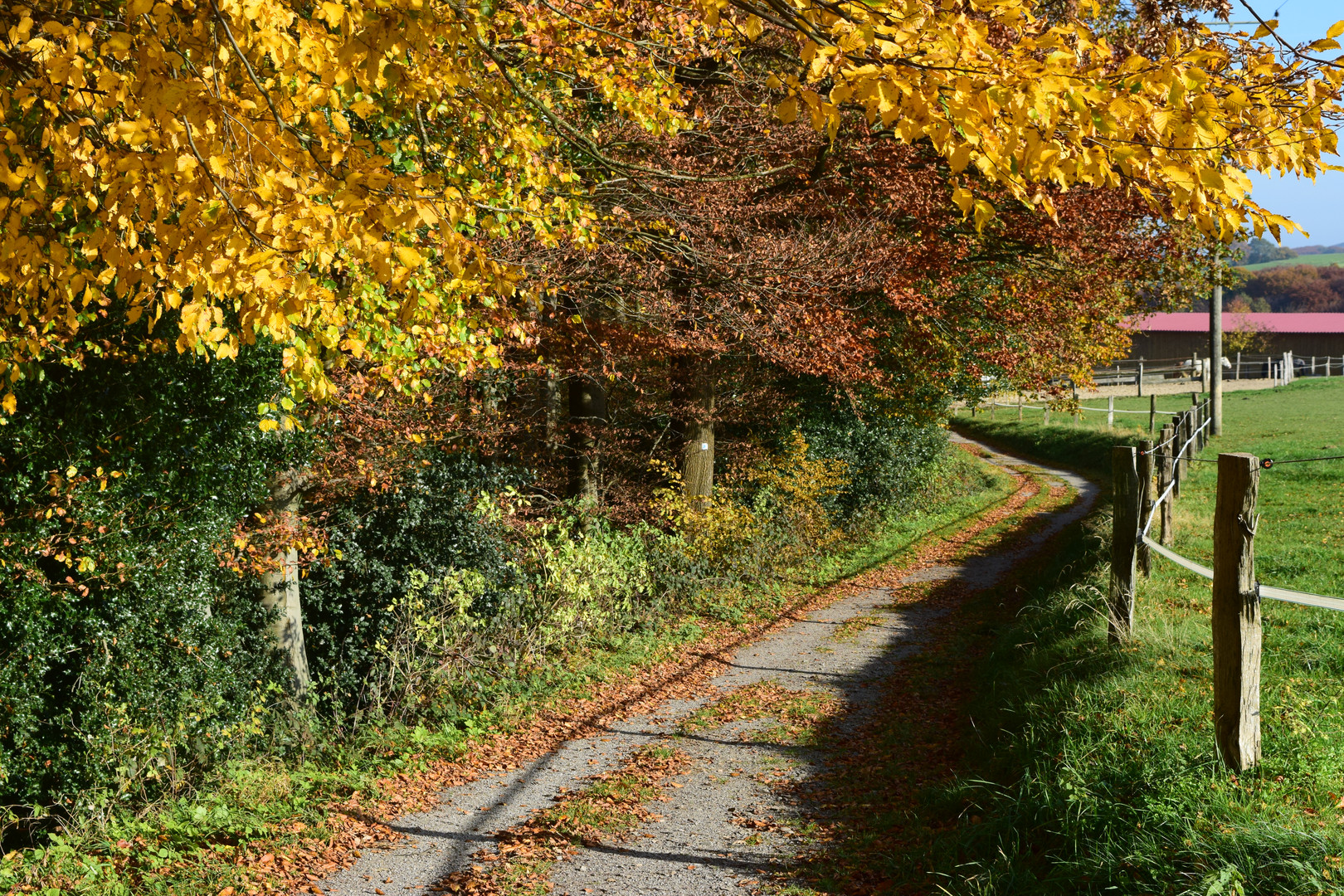 Weg zur Großen Dhünntalsperre