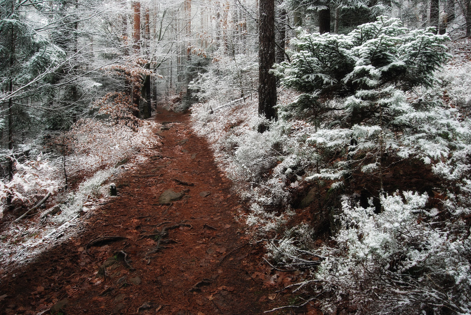 Weg zur Hellerhütte