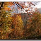 Weg zur Höllentalklamm bei Garmisch Partenkirchen