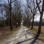 Weg zur Insel Mainau