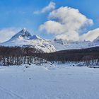 Weg zur Laguna Esmeralda auf Feuerland