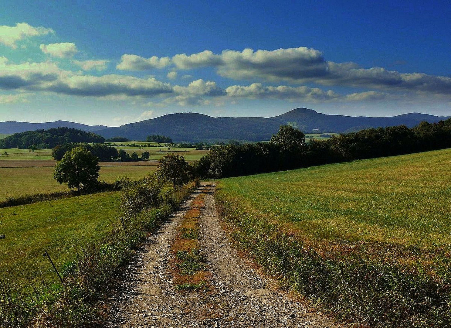 Weg zur Lausche,