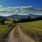 Weg zur Lausche,