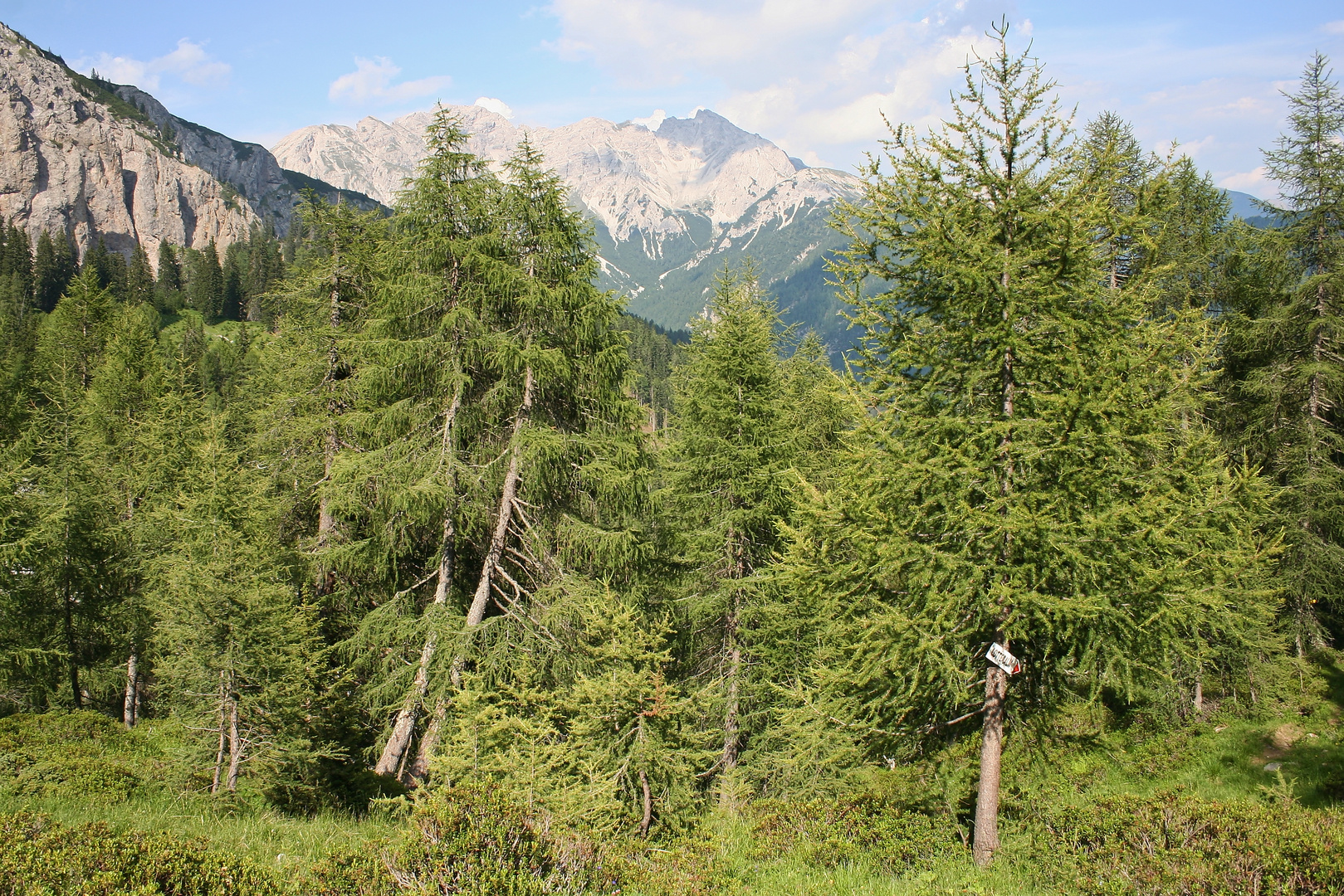 Weg zur Lotteralm (IMG_7780_ji)