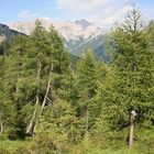 Weg zur Lotteralm (IMG_7780_ji)