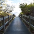 Weg zur Ostsee