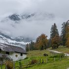 Weg zur Riedingalm am Hochkönig