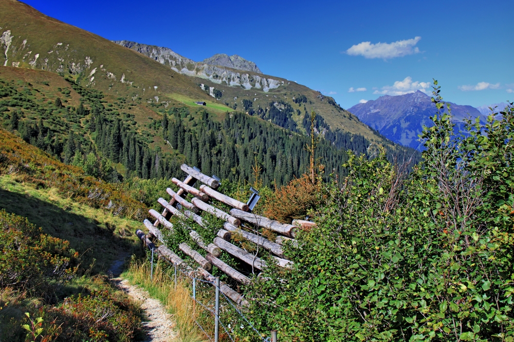 Weg zur Ronggalpe